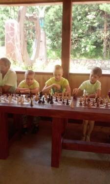 Шахматный турнир в "Горках"