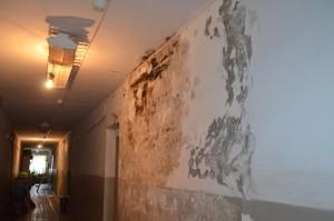 Общежитие Карла Либкнехта, 42