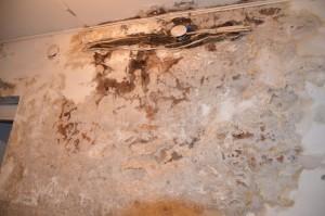 Общежитие Карла Либкнехта, 42