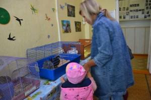 День открытых дверей ЦДТТ