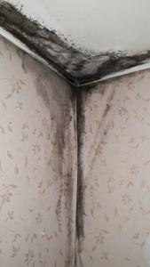 Течет крыша