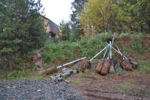 Новый поселенец