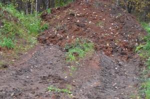 Новый поселенец