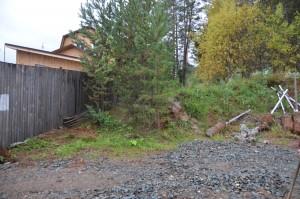 Новый поселенец