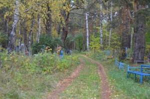 Неухоженное кладбище