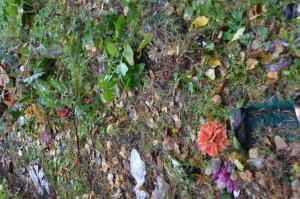 Неухоженное кладбище