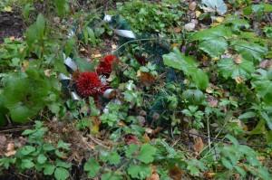 Неухоженное кладбище