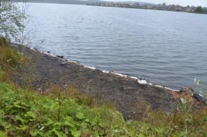 Сысертский пруд