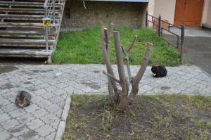 Коммуны, 39, магазин "Девяточка"