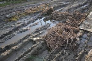 дорога к новому детскому саду №2 "Улыбка", ул. Карла Маркса