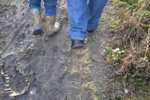 дорога к новому детскому саду №2 "Улыбка", ул. Карла Маркса