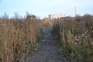 дорога к новому детскому саду №2 "Улыбка", ул. Карла Маркса