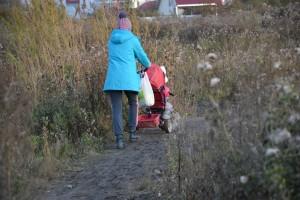 дорога к новому детскому саду №2 "Улыбка", ул. Карла Маркса