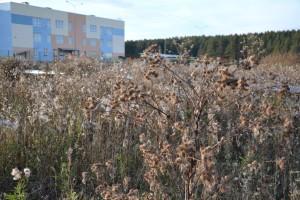 дорога к новому детскому саду №2 "Улыбка", ул. Карла Маркса