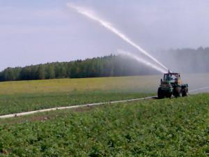 Окрестности Абрамова