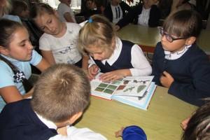 День чтения в Никольской библиотеке