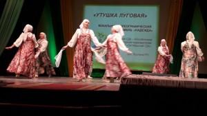 День пожилого человека Первомайский ДК