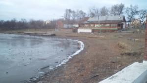 Берег пруда