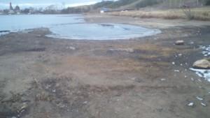 Берег пруда