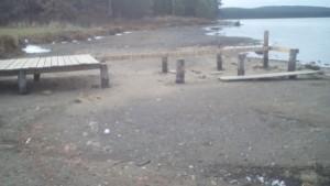 Берег пруда