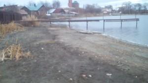 Берег пруда