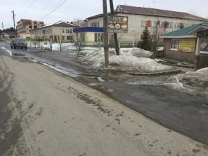 Ковчег и благоустройство