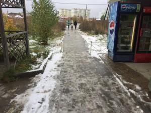 Ковчег и благоустройство