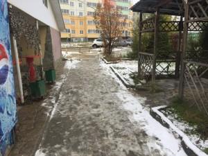 Ковчег и благоустройство