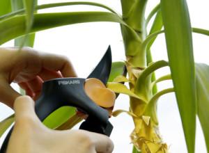 лечение растений