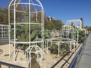 Азербайджан, Баку