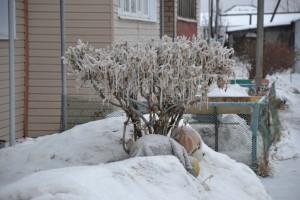 Большой Исток