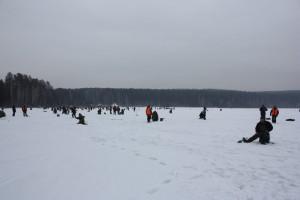 Первенство по зимней рыбалке 