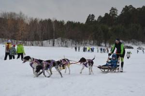 Выходи гулять