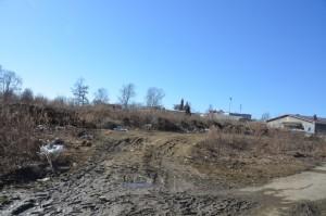 Пустырь на Быкова