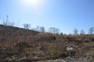 Пустырь на Быкова