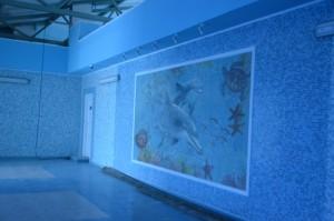 ФОК "Адмирал"