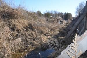 Подножие Бесеновки