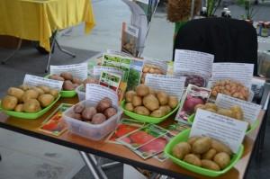 «Урал-агро» 