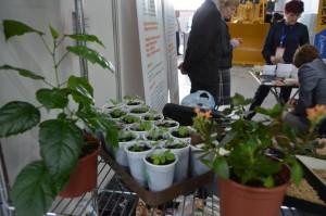 «Урал-агро» 