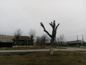 Обрезка деревьев