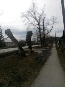 Обрезка деревьев