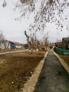 Обрезка деревьев