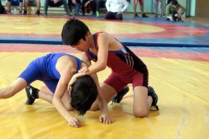 Турнир Руслана Павлова, вольная борьба