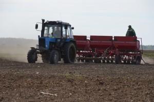 Посевная Щелкун