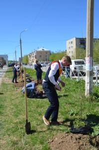 Аллея выпускников