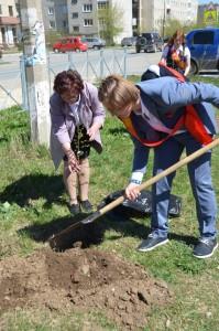 Аллея выпускников