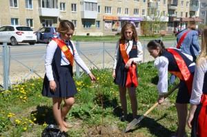 лебедевы 798