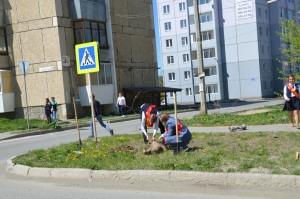 лебедевы 823