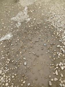 35296492_2004308689602274_4180380837012832256_n