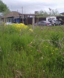 улица Урицкого